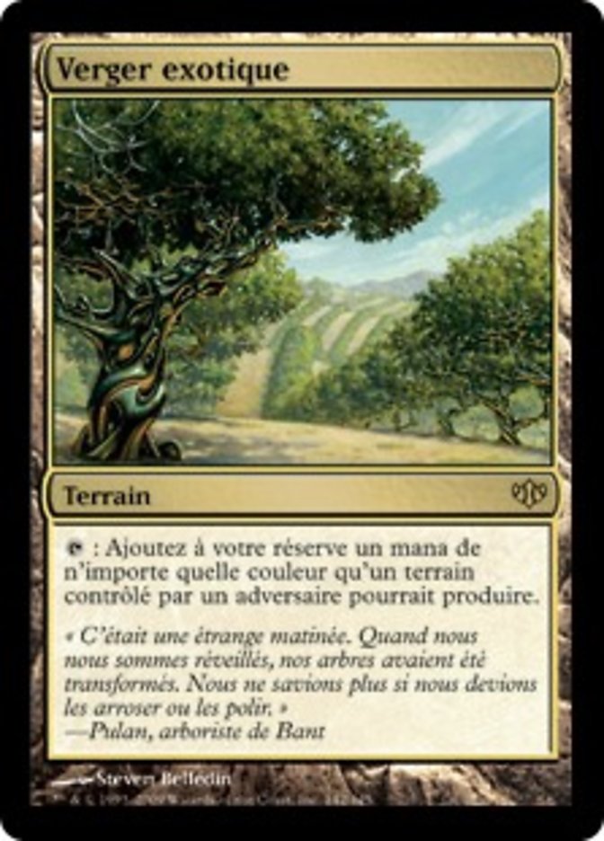 image Verger exotique