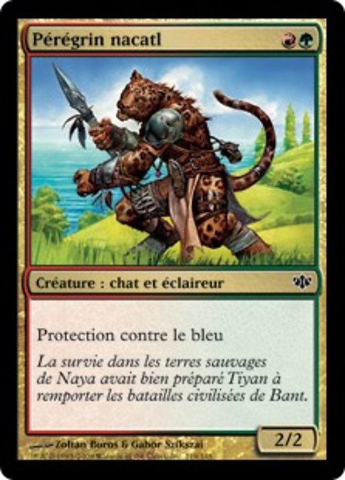 image Pérégrin nacatl