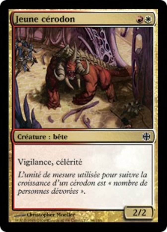 image Jeune cérodon