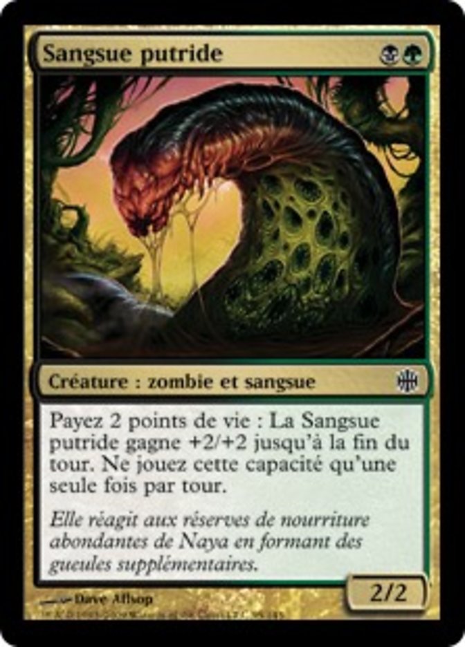 image Sangsue putride