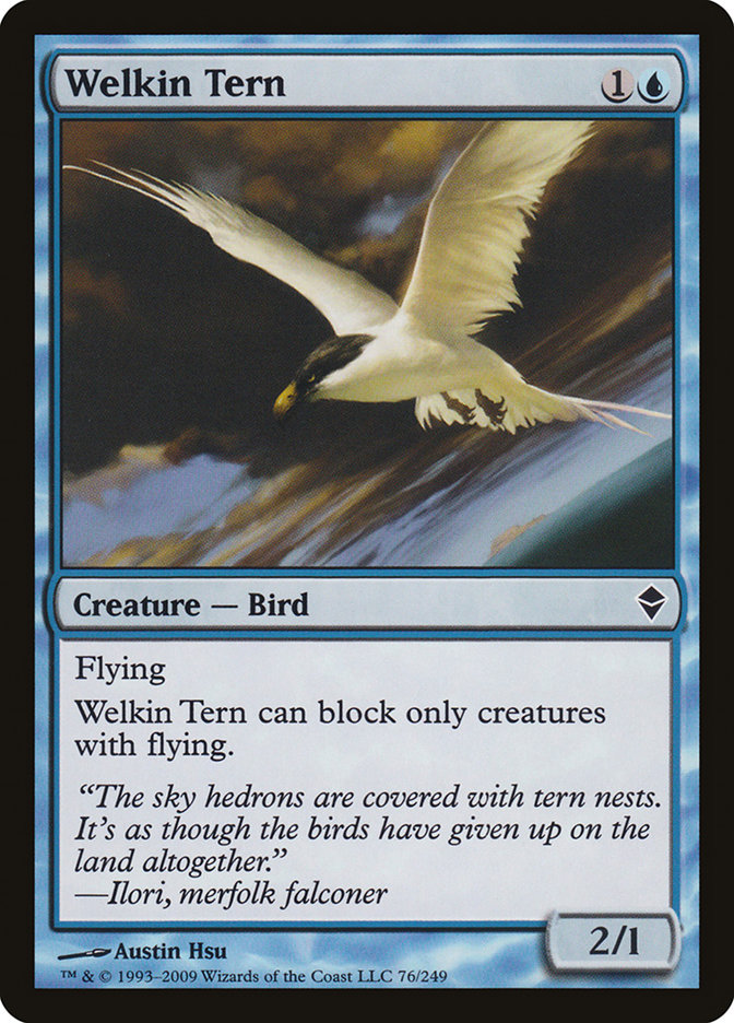 image Welkin Tern