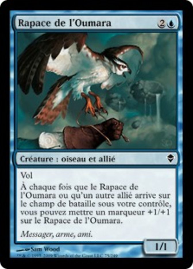 image Rapace de l'Oumara