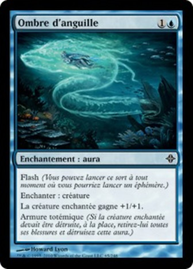 image Ombre d'anguille