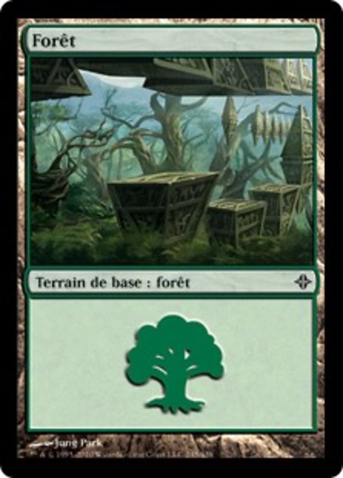image Forêt