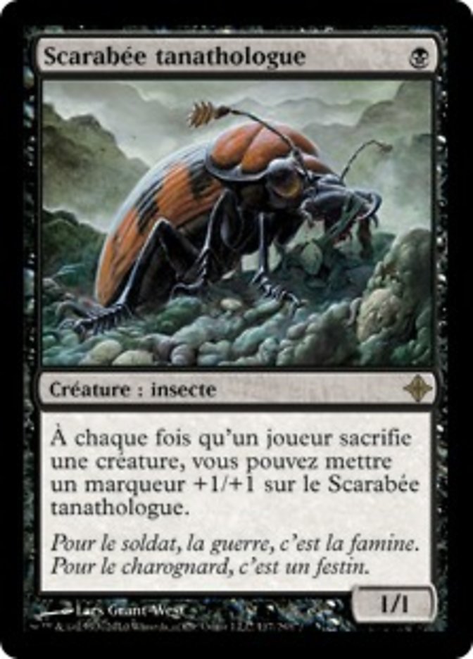 image Scarabée tanathologue