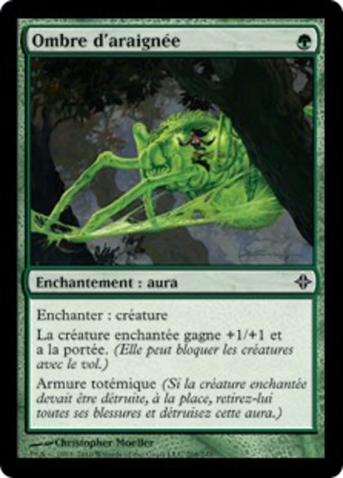 image Ombre d'araignée