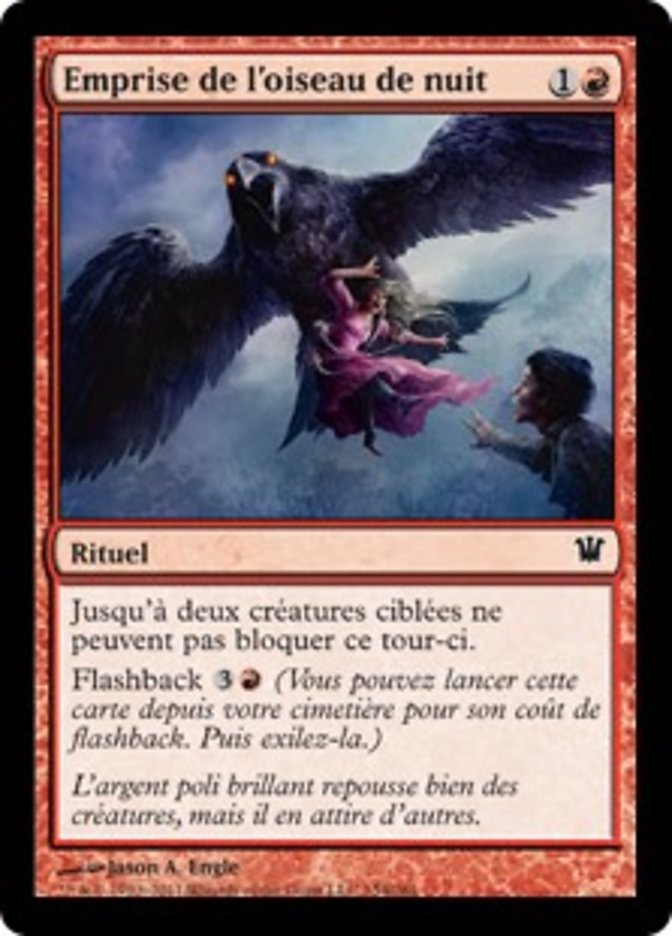 image Emprise de l'oiseau de nuit
