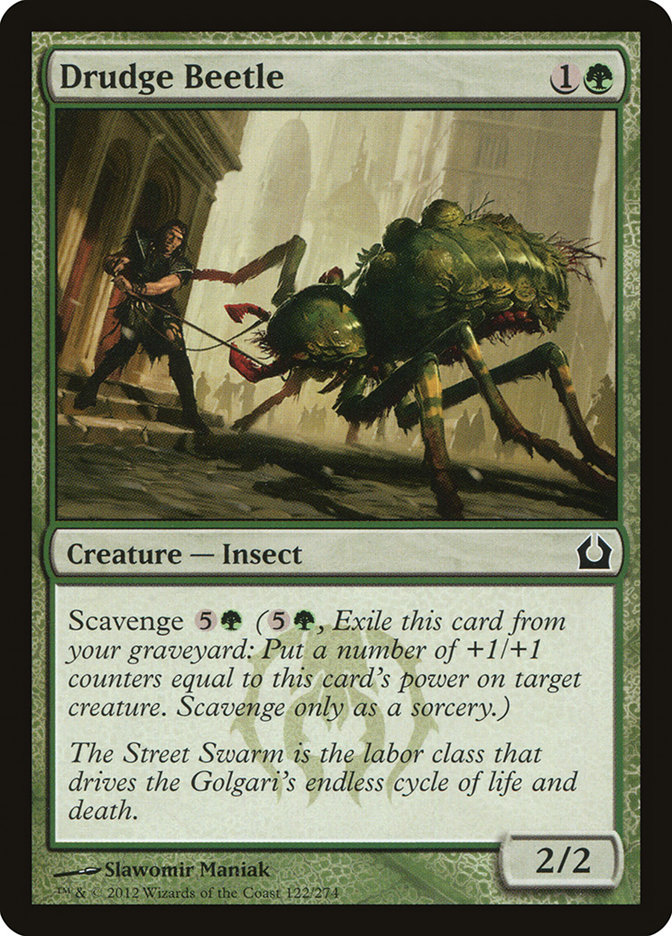image Drudge Beetle
