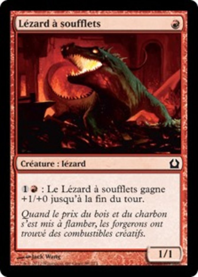 image Lézard à soufflets