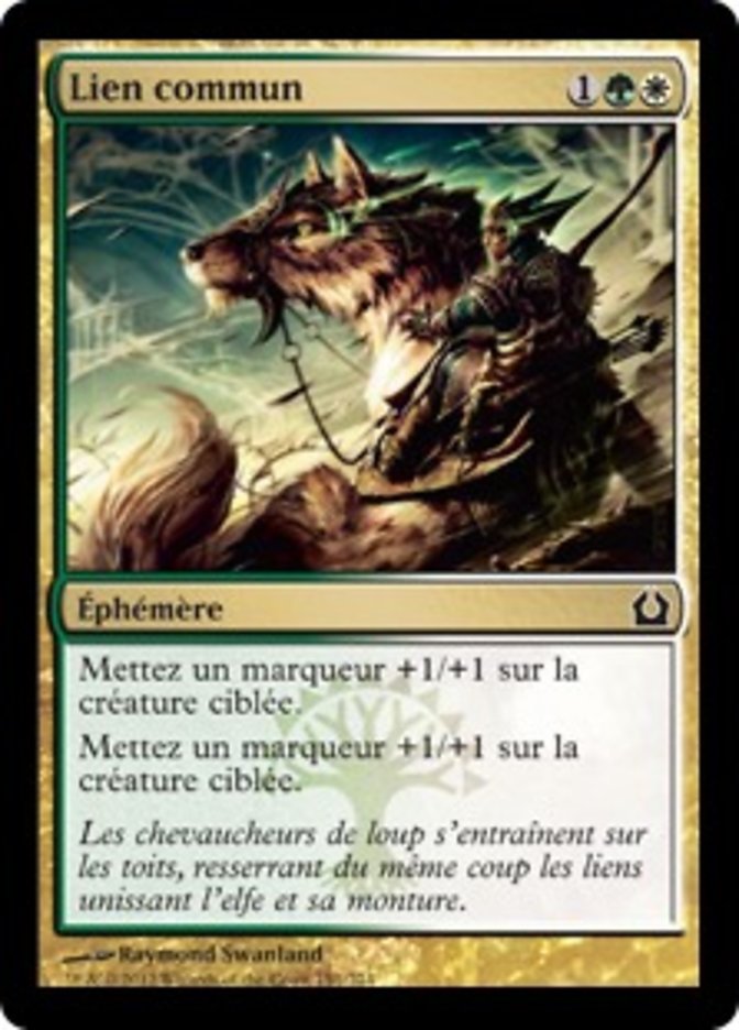 image Lien commun