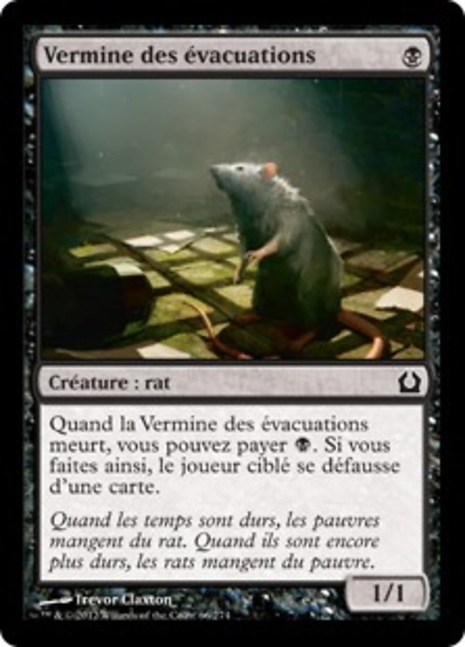 image Vermine des évacuations