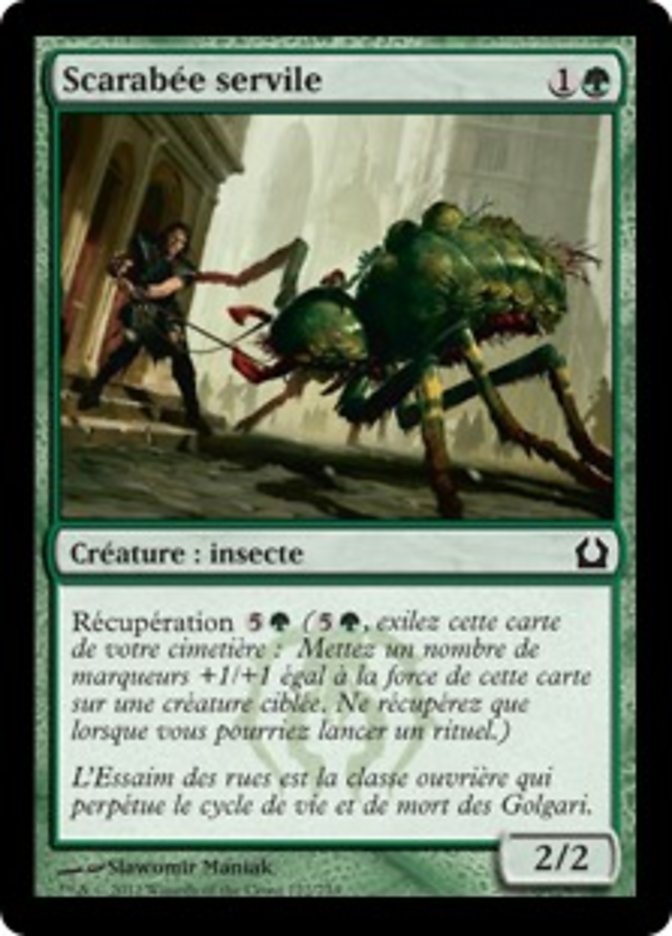 image Scarabée servile