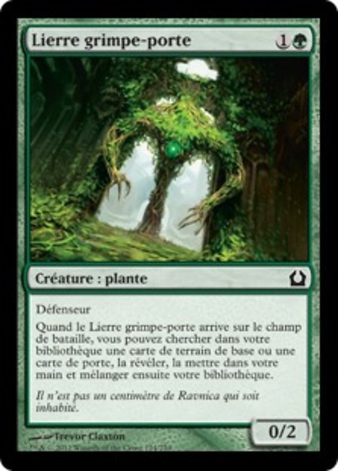 image Lierre grimpe-porte