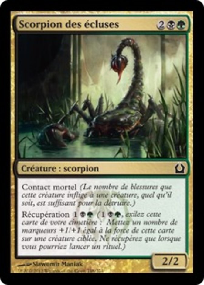 image Scorpion des écluses