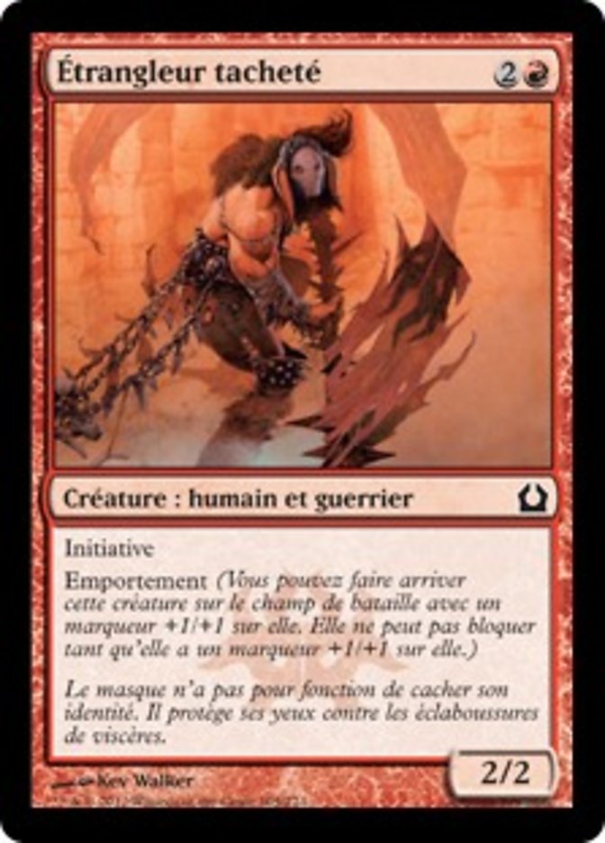 image Étrangleur tacheté