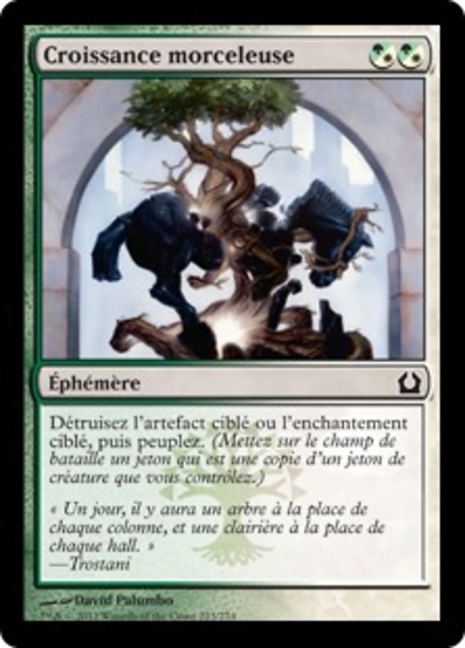 image Croissance morceleuse
