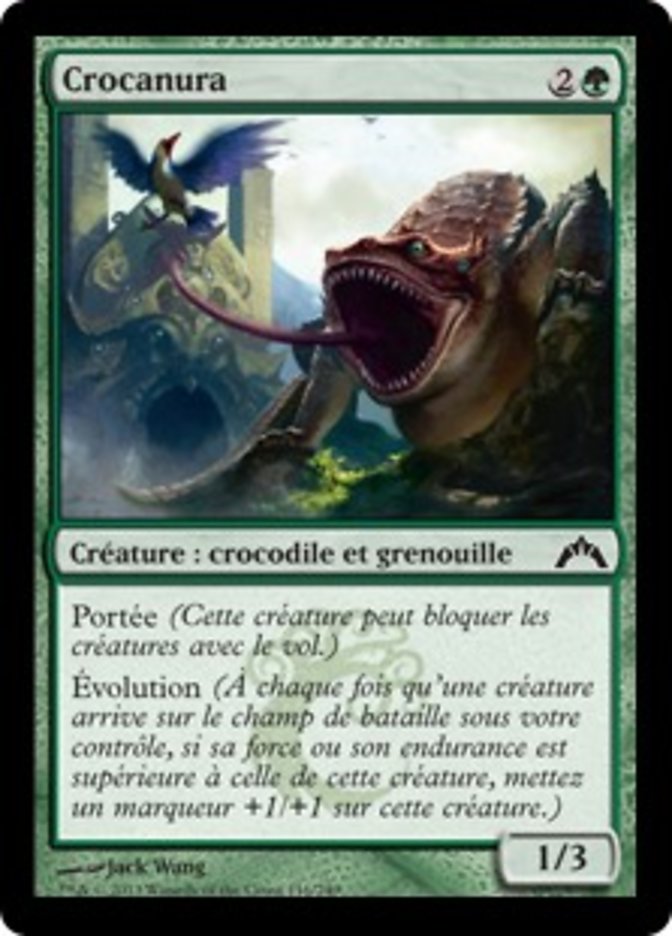 image Crocanura