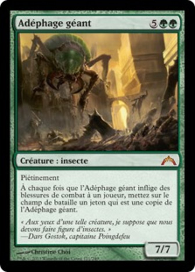 image Adéphage géant