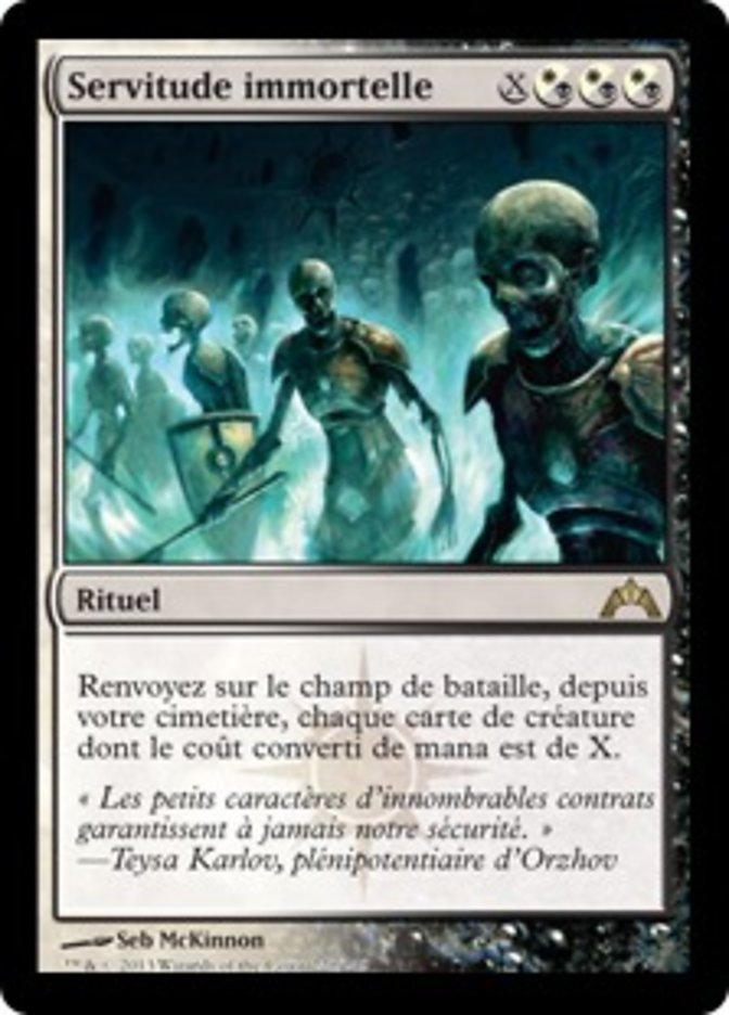 image Servitude immortelle