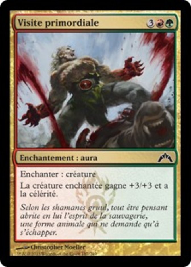 image Visite primordiale