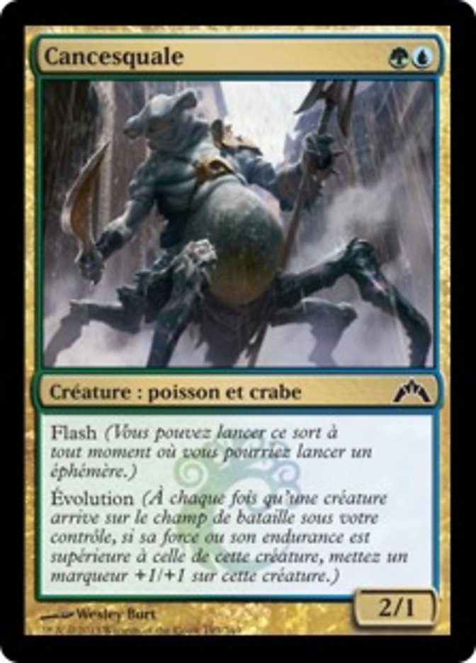 image Cancesquale
