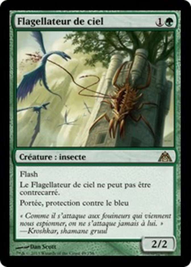 image Flagellateur de ciel