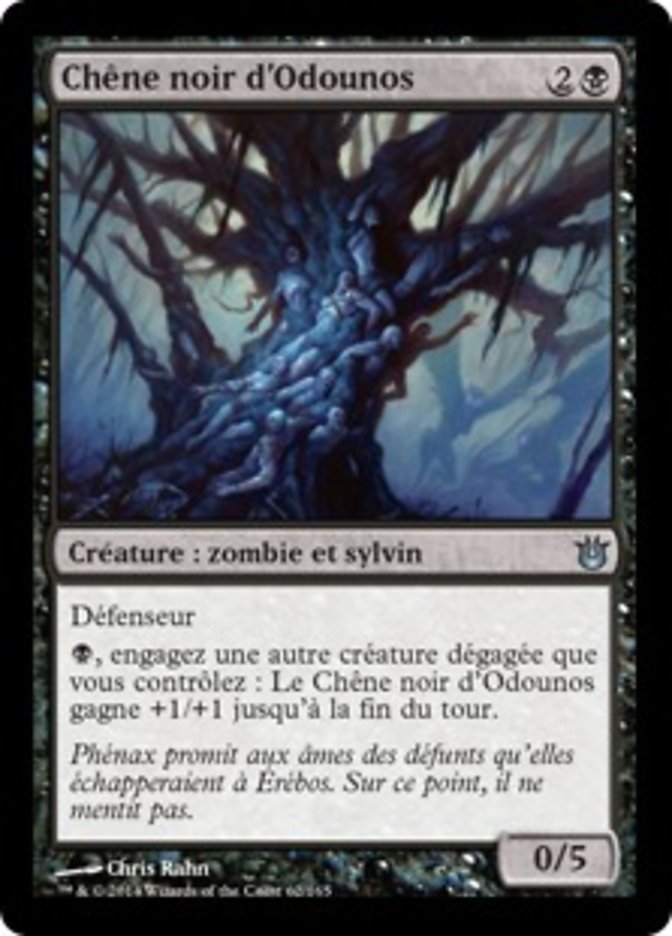 image Chêne noir d'Odounos