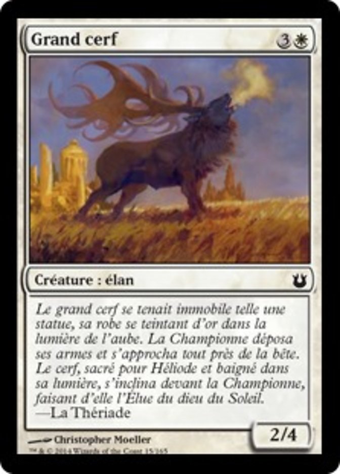 image Grand cerf