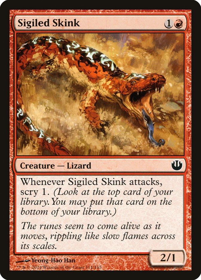 image Sigiled Skink