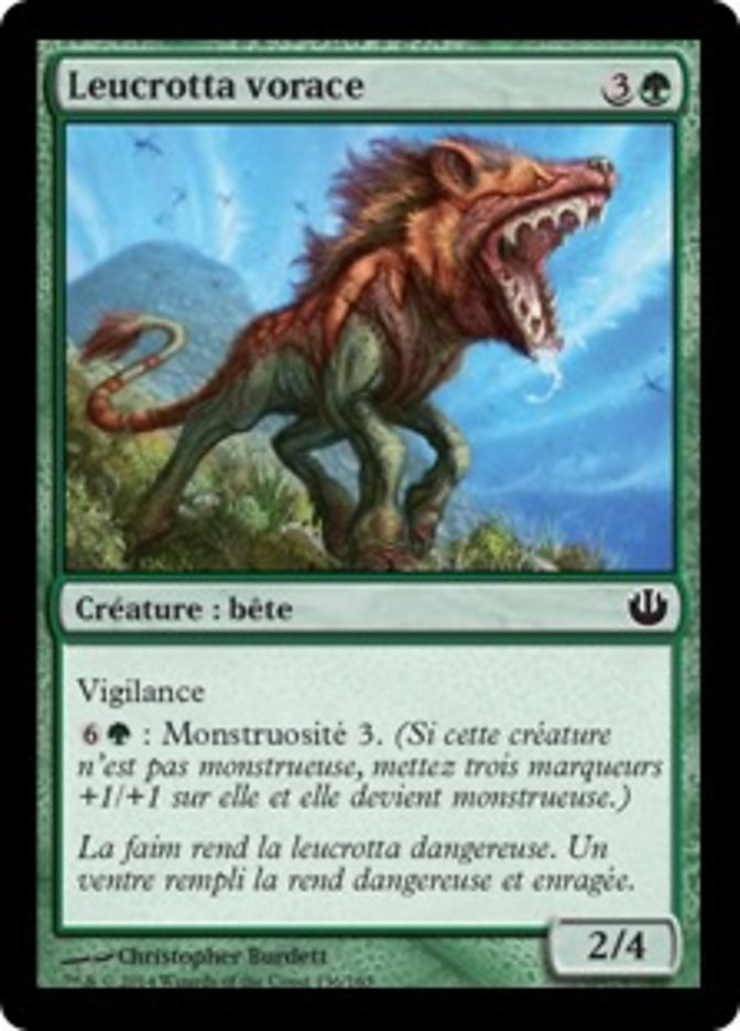 image Leucrotta vorace