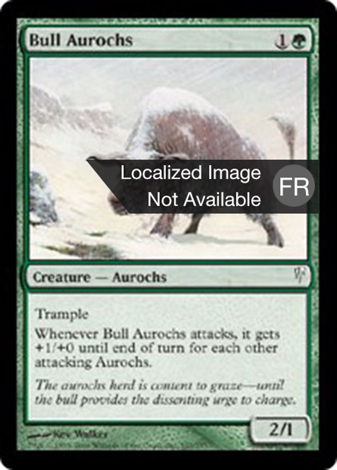 image Aurochs mâle