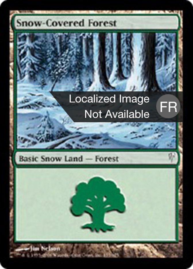 image Forêt enneigée