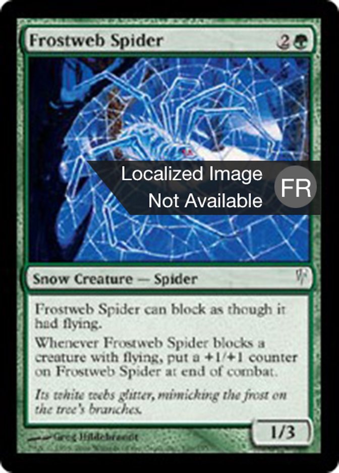 image Araignée toilegivre