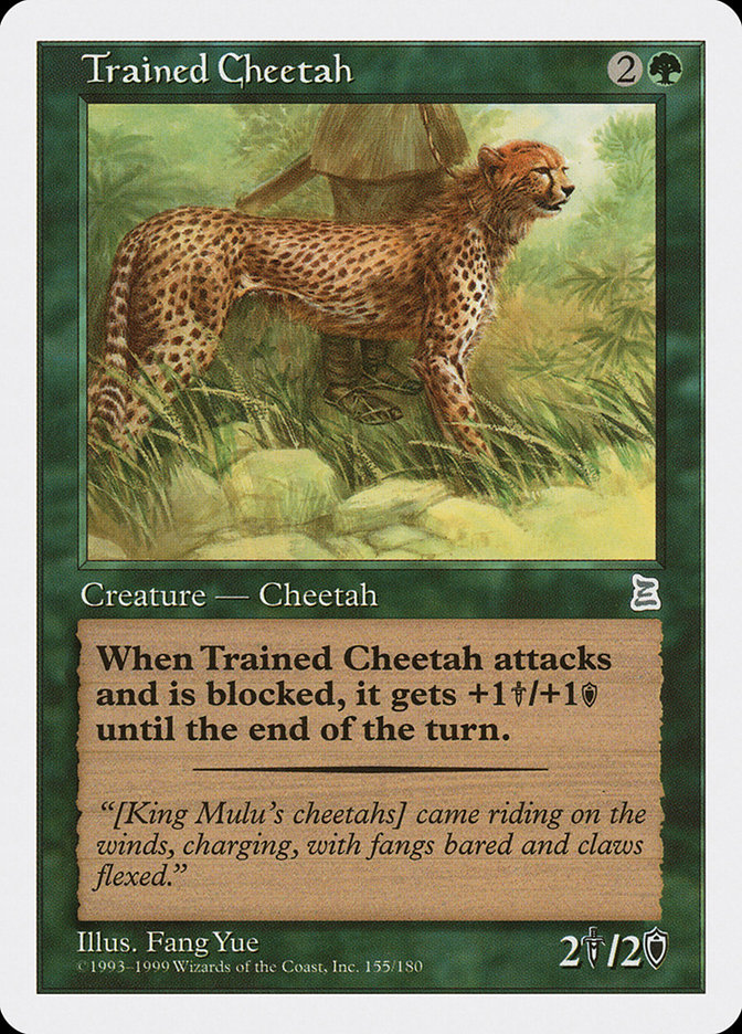 image Trained Cheetah