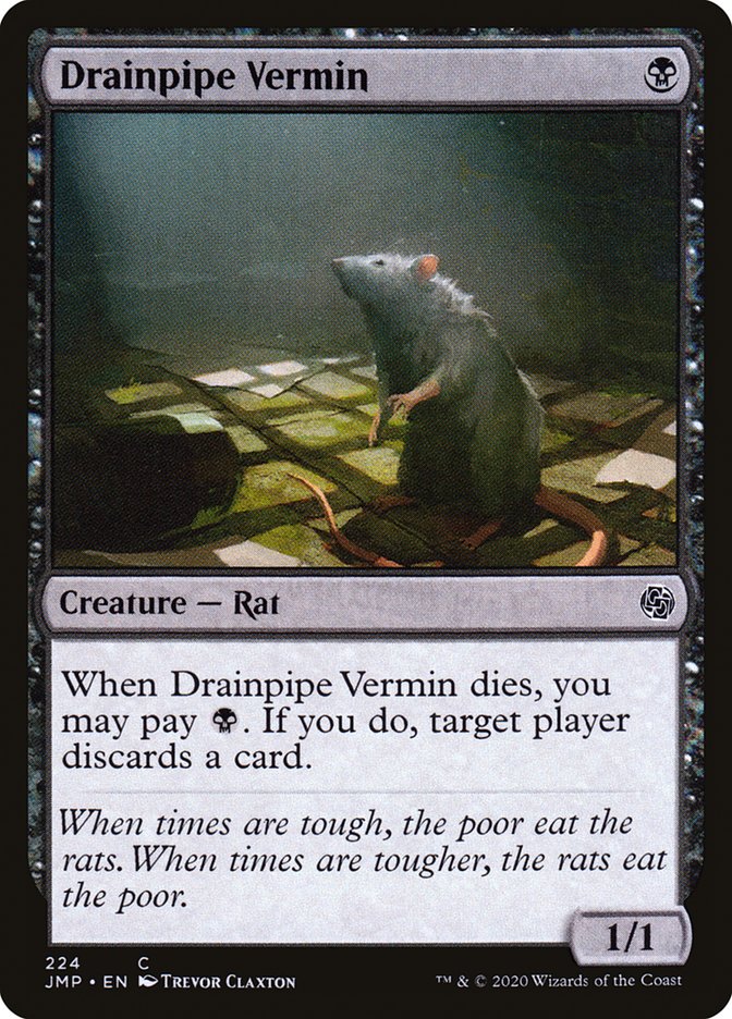 image Drainpipe Vermin