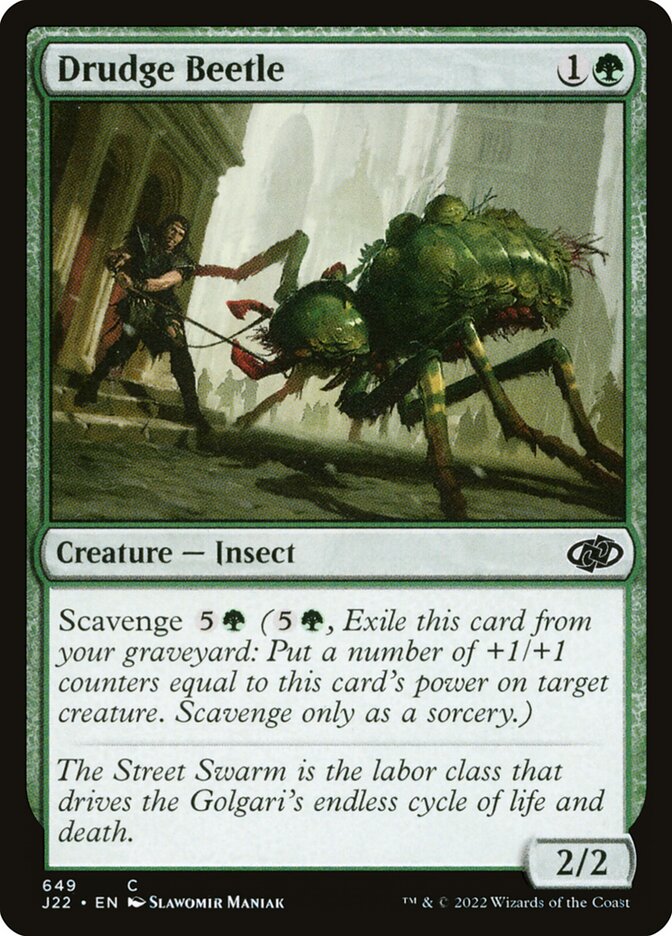 image Drudge Beetle