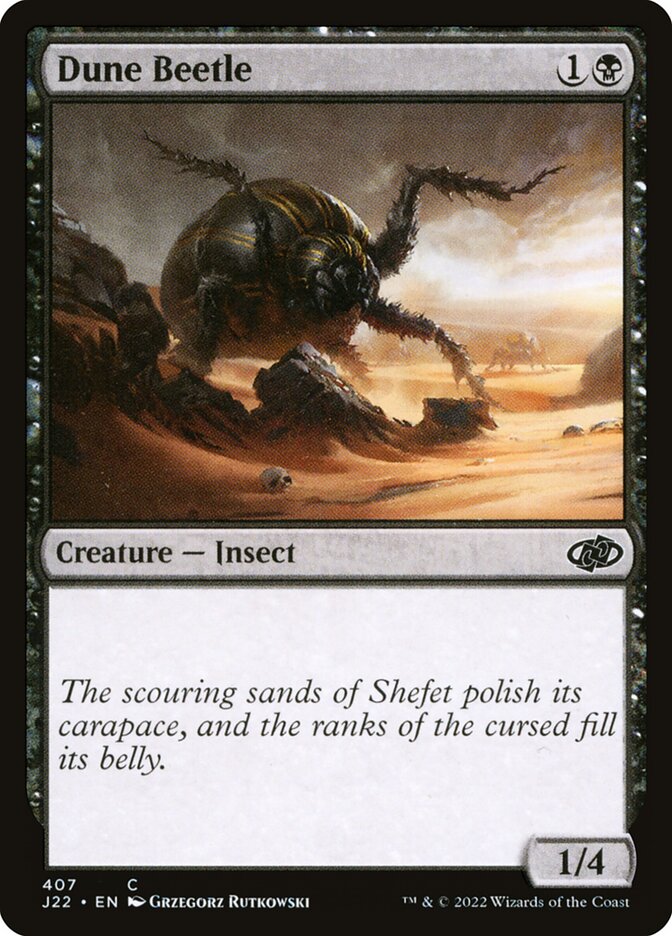 image Dune Beetle