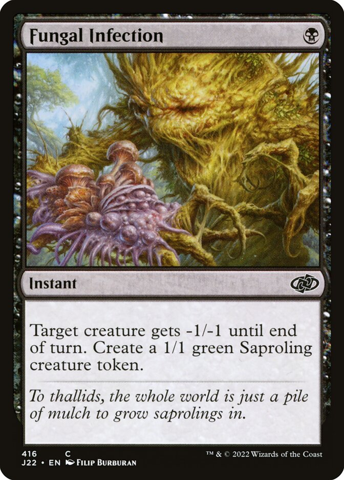 image Fungal Infection