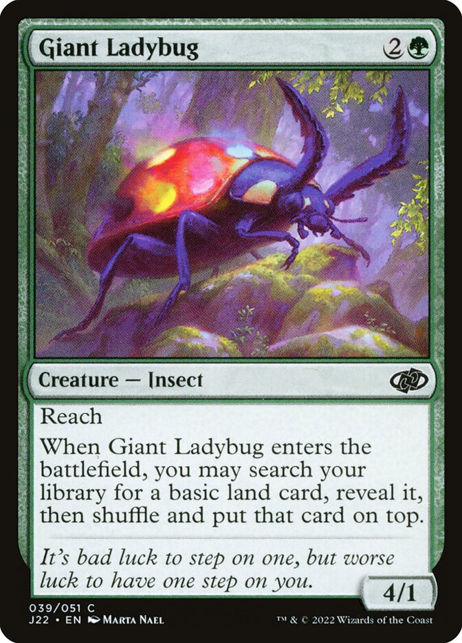 image Giant Ladybug