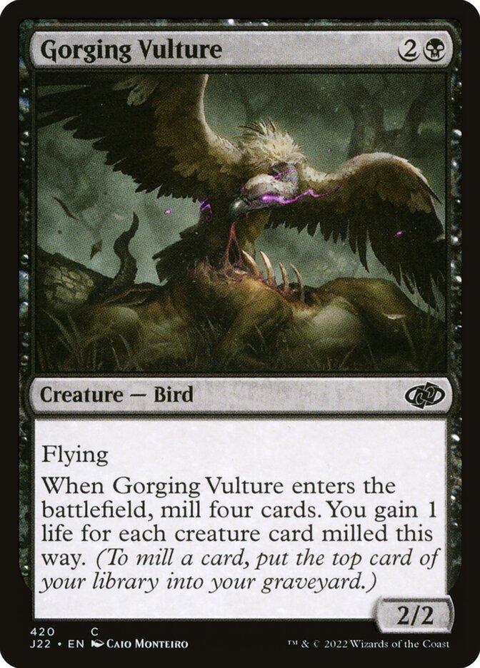 image Gorging Vulture