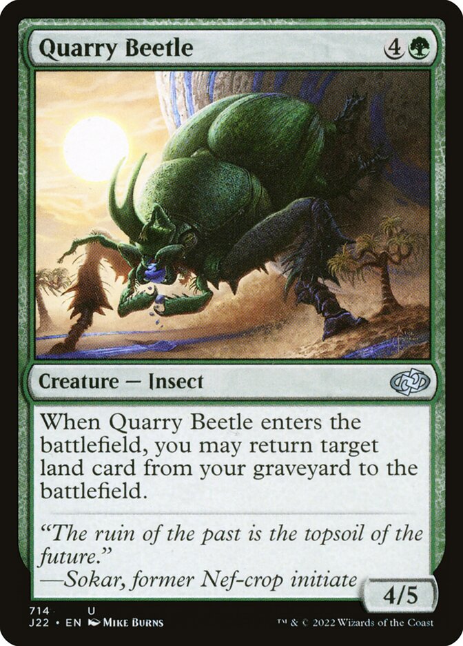 image Quarry Beetle