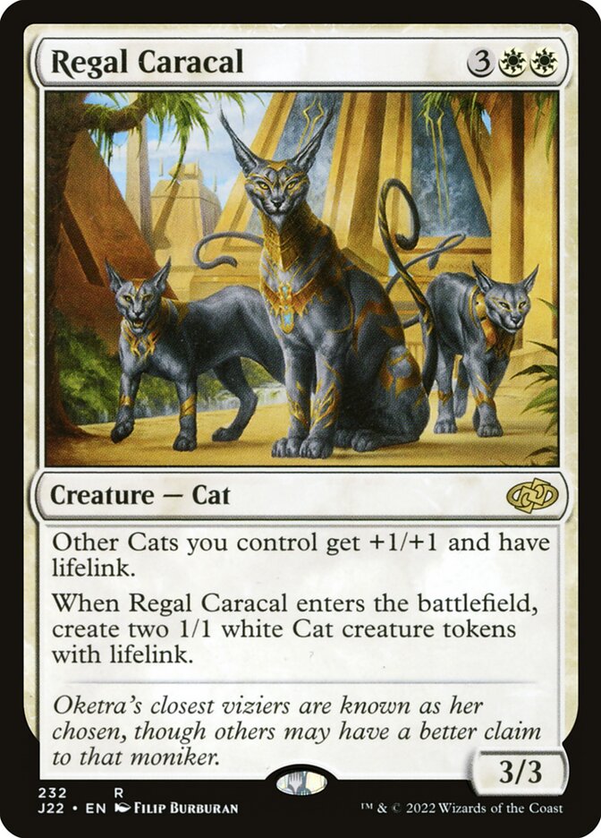 image Regal Caracal