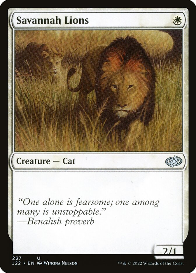 image Savannah Lions
