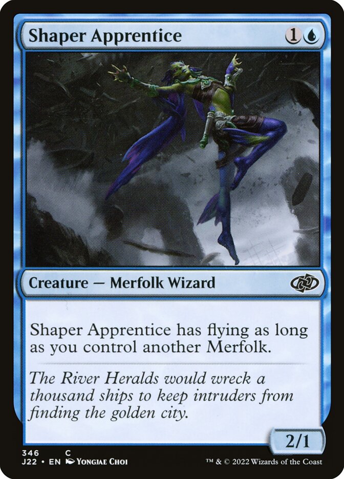 image Shaper Apprentice