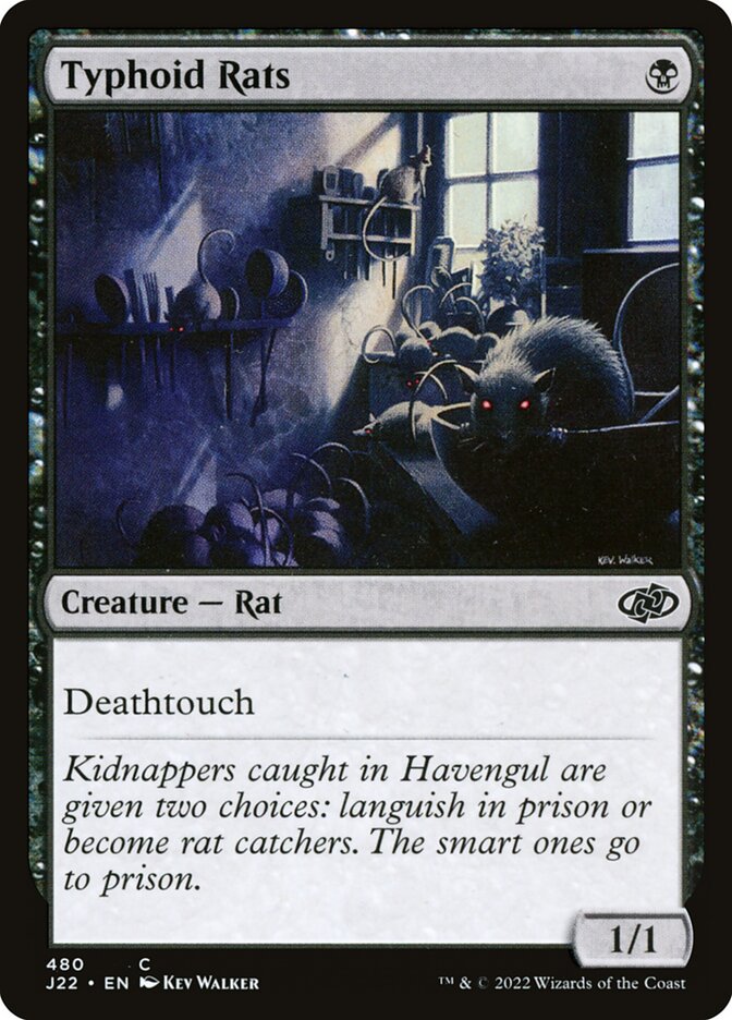image Typhoid Rats