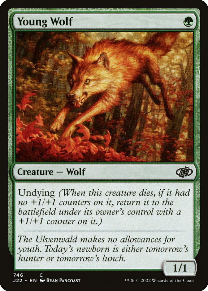 image Young Wolf