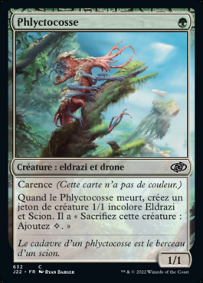image Phlyctocosse