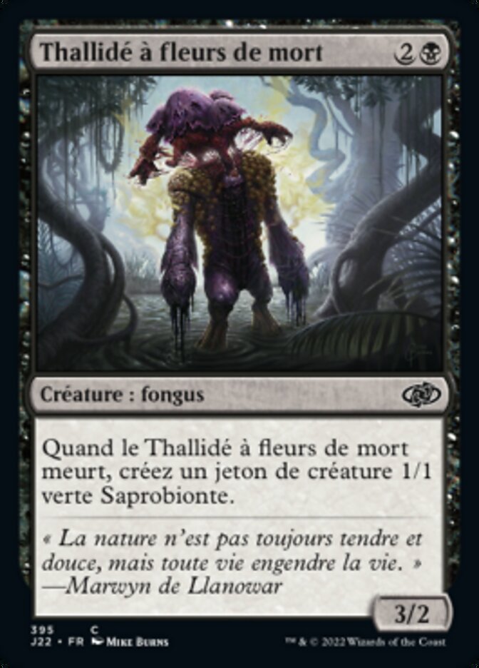 image Thallidé à fleurs de mort