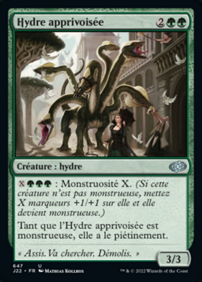image Hydre apprivoisée
