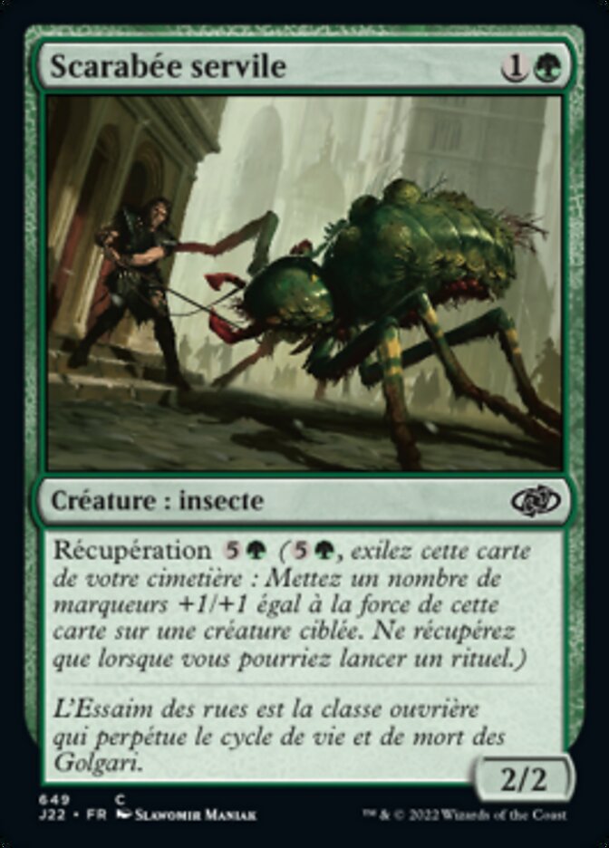 image Scarabée servile